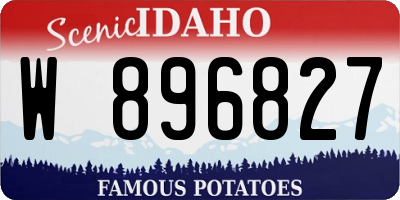 ID license plate W896827