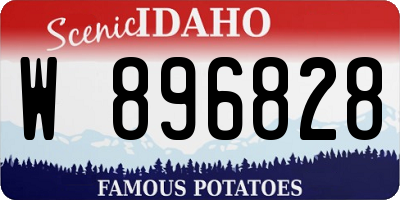 ID license plate W896828