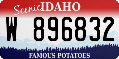 ID license plate W896832