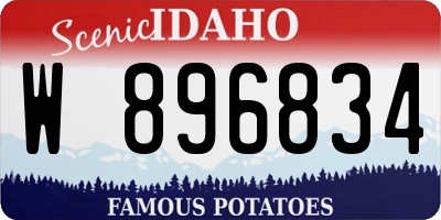 ID license plate W896834