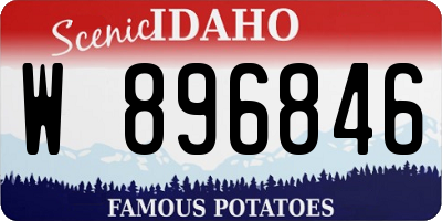 ID license plate W896846