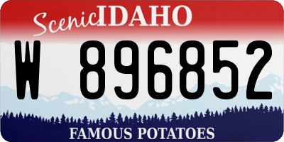 ID license plate W896852