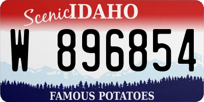 ID license plate W896854