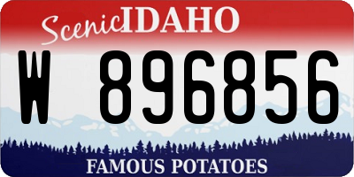 ID license plate W896856