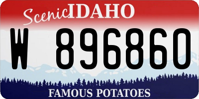ID license plate W896860