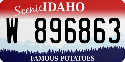 ID license plate W896863