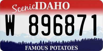 ID license plate W896871