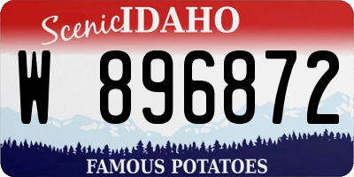 ID license plate W896872