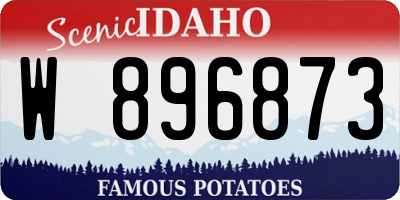 ID license plate W896873