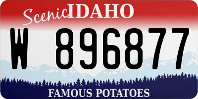 ID license plate W896877