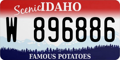 ID license plate W896886