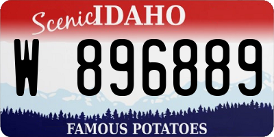 ID license plate W896889