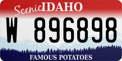 ID license plate W896898