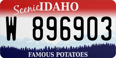 ID license plate W896903