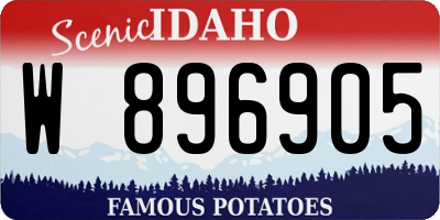 ID license plate W896905