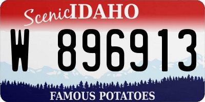 ID license plate W896913