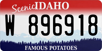 ID license plate W896918