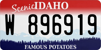 ID license plate W896919