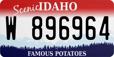 ID license plate W896964