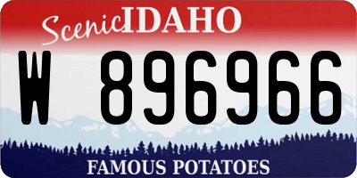 ID license plate W896966