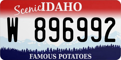 ID license plate W896992