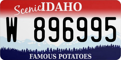 ID license plate W896995