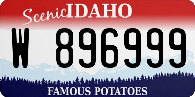 ID license plate W896999