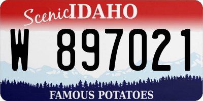 ID license plate W897021