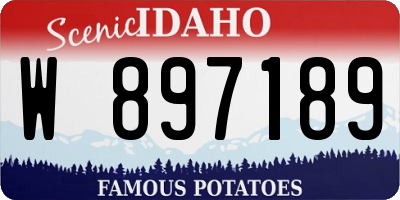 ID license plate W897189