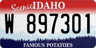 ID license plate W897301