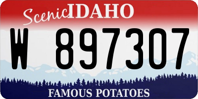 ID license plate W897307