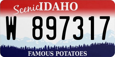 ID license plate W897317