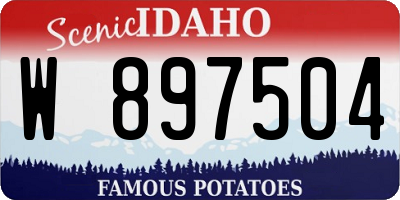 ID license plate W897504