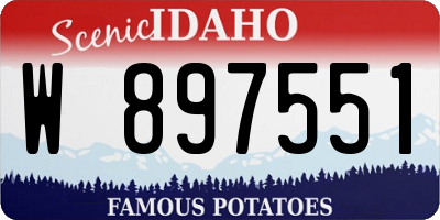 ID license plate W897551