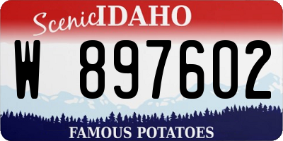 ID license plate W897602