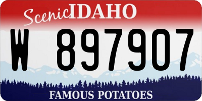ID license plate W897907