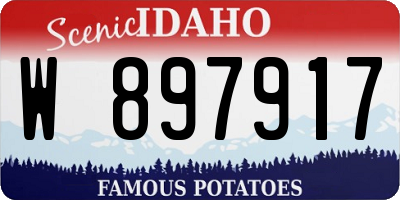 ID license plate W897917