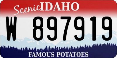 ID license plate W897919