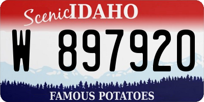 ID license plate W897920