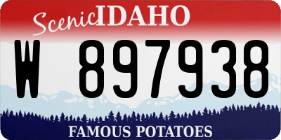 ID license plate W897938