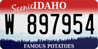 ID license plate W897954
