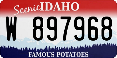 ID license plate W897968