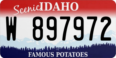ID license plate W897972