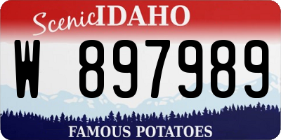 ID license plate W897989