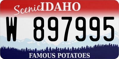 ID license plate W897995