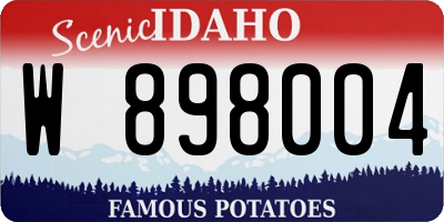 ID license plate W898004