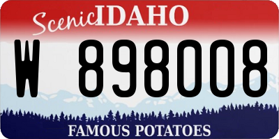 ID license plate W898008