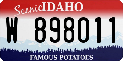 ID license plate W898011