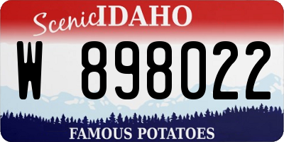 ID license plate W898022