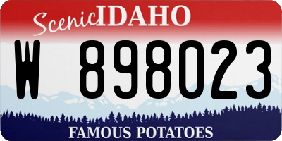 ID license plate W898023